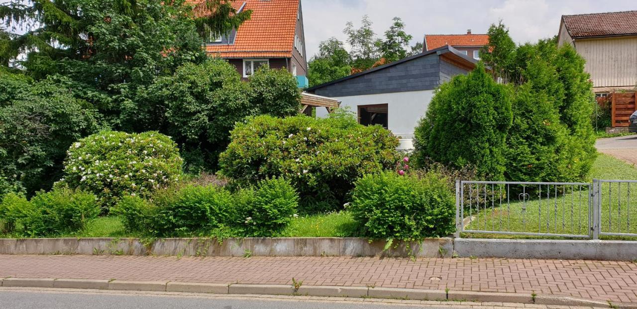 Ferienwohnung Schone Auszeit Hohegeiß Zewnętrze zdjęcie